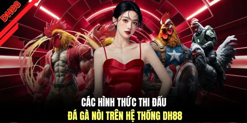 Các hình thức thi đấu đá gà nòi trên hệ thống DH88