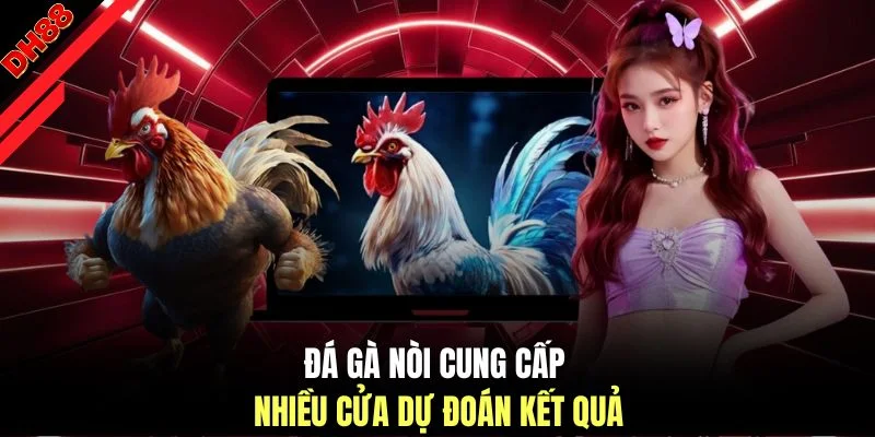 Đá gà nòi cung cấp nhiều cửa dự đoán kết quả