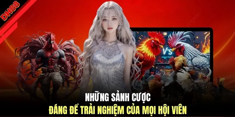 Những sảnh cược đáng để trải nghiệm của mọi hội viên